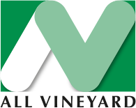 All Vineyard Logo
